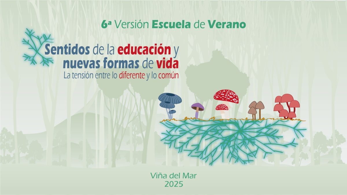 <strong>¡YA VIENE! ESCUELA DE VERANO EDUINCLUSIVA 2025</strong>